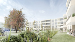 Fröhlich Architektur